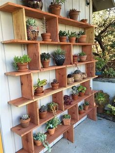 a wooden shelf filled with potted plants on top of a white wall next to a tree