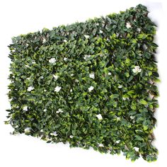 a green hedge with white flowers growing on it's sides and the top part of its frame