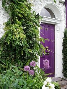 a purple door in front of a white house with flowers and plants around it on the sidewalk