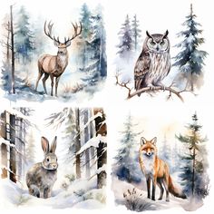 four watercolor paintings of different animals in the woods with pine trees and snow covered ground