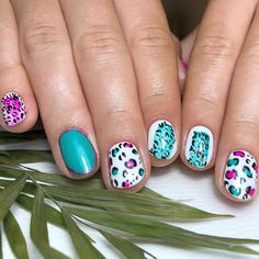 @navyprotools Prep - Ethel, Martha, Doris@the_gelbottle_inc Daisy, Fern, Miami@brillbirduk Brush Animal Print Nail Art, Neon Nail Art Designs, Neon Animal Print, Print Nail Art, Neon Nail Art, Animal Print Nails Art, Animal Nail Art, Nail Art Designs Summer