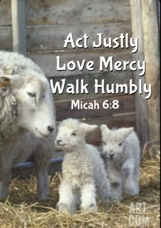 an adult sheep standing next to two baby lambs in hay with the words act justly love mercy walk humbly