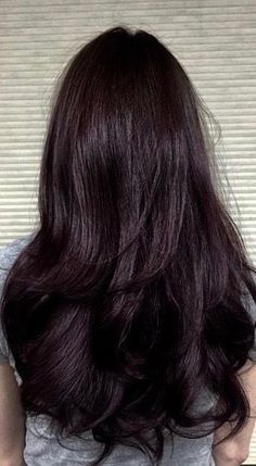 Plum Dark Hair, Brunette With Cherry Highlights, Cool Toned Chocolate Brown Hair, Dark Cherry Black Hair, Cherry Highlights On Dark Hair, Purple Brunette Hair, Black Hair With Red Undertones, Black Cherry Hair Color Dark, Black Cherry Highlights