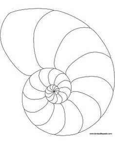 an image of a spiral shaped object in the shape of a snail's shell