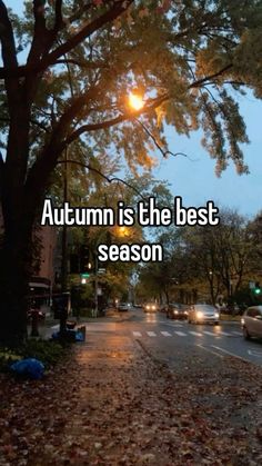 an autumn is the best season