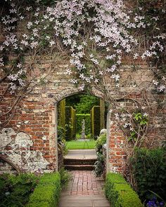 an archway leading to a garden with flowers growing on it