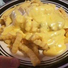 a white plate topped with fries covered in cheese