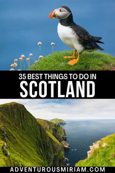 a bird sitting on top of a lush green hillside next to the ocean with text overlay reading 35 best things to do in scotland