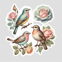 four birds and roses stickers on a white background