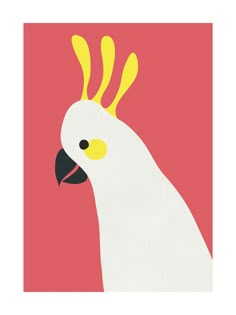 a white bird with yellow feathers on it's head, against a pink background