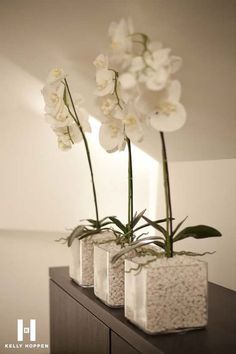 three vases with flowers in them sitting on a shelf next to each other,