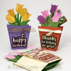 some flowers are sitting in small pots with greeting cards on the bottom one is for someone's birthday