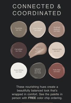 Paint Colors That Go With Rustic Wood, Signature Wall Design, Rustic Color Palette For Home Interiors, Rustic Chic Color Palette, Brown And Gray Paint Schemes, Color Schemes For Small Spaces, Earthy Paint Color Palette, Boho Home Paint Colors, Cocoa Paint Colors