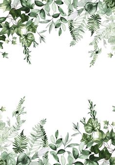 watercolor painting of green leaves and branches on white background with copy space for text