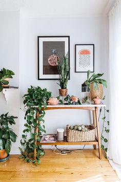 some plants are sitting on a shelf in a room