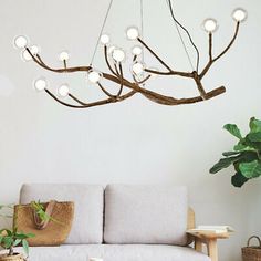 a living room filled with furniture and a tree branch chandelier