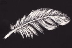 a black and white photo of a feather