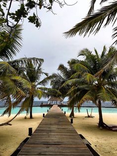 a wooden walkway leading to the beach with palm trees