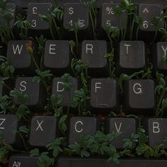 a keyboard with plants growing out of it and the letters written in white on top