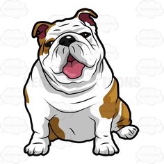 a brown and white bulldog sitting down with its tongue out, looking at the camera