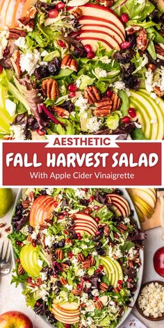 fall harvest salad with apples, cranberries and pecans