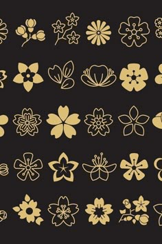 a bunch of flowers that are on a black background with white outlines in the middle