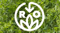 the logo for roo is surrounded by tall grass and plants with an arrow in the center