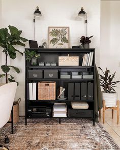 a living room with a rug, chair and bookshelf