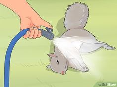 a squirrel being held by a person with a hose attached to it's head