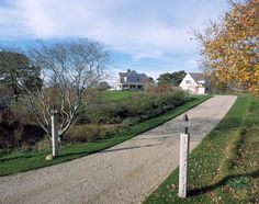 a gravel road with trees and houses in the background