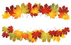 an image of autumn leaves set on white background stock photo - 1230972