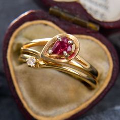 a close up of two gold rings in a box with a red stone on it