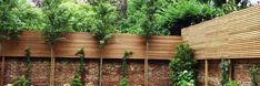 a wooden fence with plants growing on it