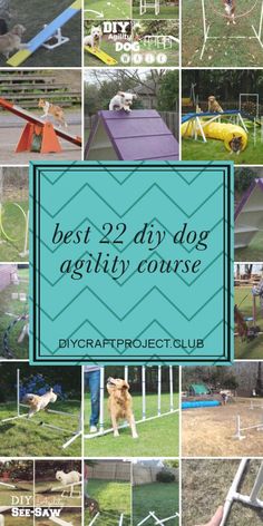 22 diy dog agility course Diy Dog Agility Course, Dog Agility Diy, Dog Enrichment