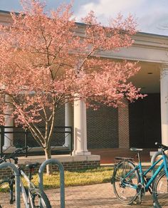 two bicycles parked next to each other in front of a building with pink flowers on it