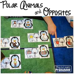 polar animals and opposites activities for kids to do with the penguin theme in their classroom