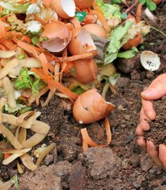 someone is holding up some dirt in their hands and they are digging into the soil