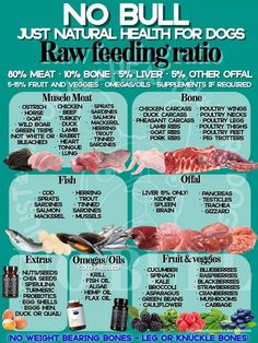 a poster showing the different types of raw meats and their benefits for dogs to eat