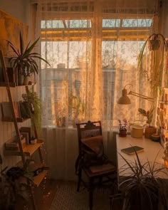 a living room filled with lots of plants next to a window covered in sheer curtains