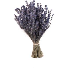 a bunch of lavender flowers in a vase