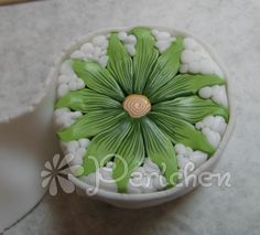 a green and white flower sitting on top of a table