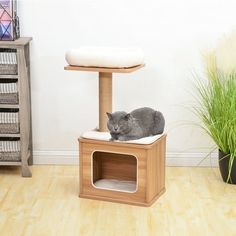 a gray cat laying on top of a wooden scratching tower next to a potted plant