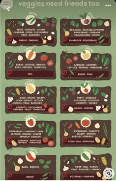 an info board showing the different vegetables that have been grown in each plant and how to use them