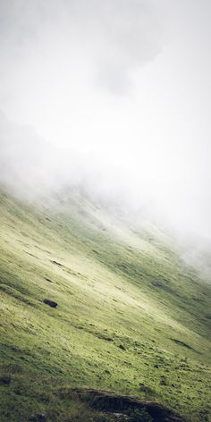 a lone horse standing on top of a lush green hillside covered in fog and mist