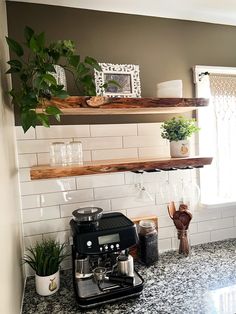 a coffee maker sitting on top of a kitchen counter next to a potted plant