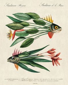 two fish with flowers and leaves in their beaks, one on the left side