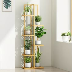 a wooden shelf filled with potted plants next to a window in a white room