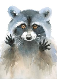 a painting of a raccoon with his hands up