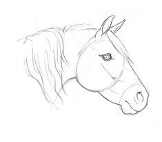 a drawing of a horse's head