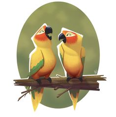 two colorful birds sitting on top of a tree branch